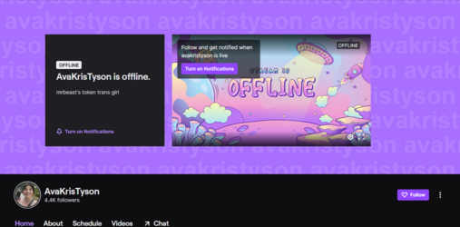 FireShot Capture 1918 - AvaKrisTyson - Twitch - www.twitch.tv.png