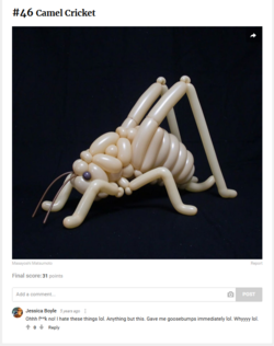 camel cricket.png