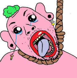 IMG_6295.png