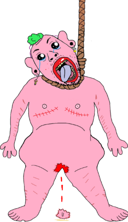 IMG_6291.png