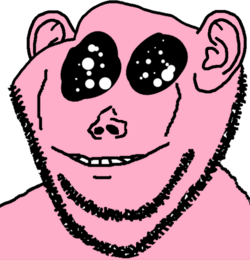 IMG_6293.png