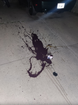 Splatter.png