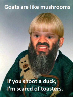 mushrooms.png