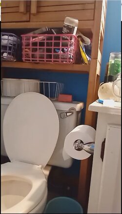 1717327494251.jpeg