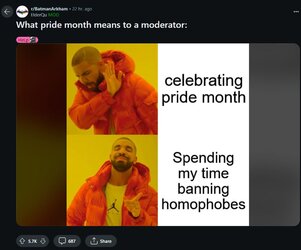 pridemod.JPG
