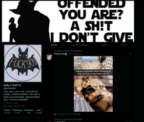 Twitter Profile.png