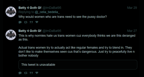 Antitrans Tweet 3.png