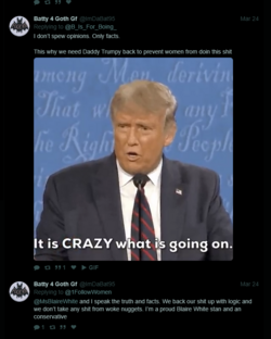 Antiwoke Tweet 4.png