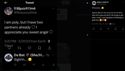 Desperate Tweet 4.PNG