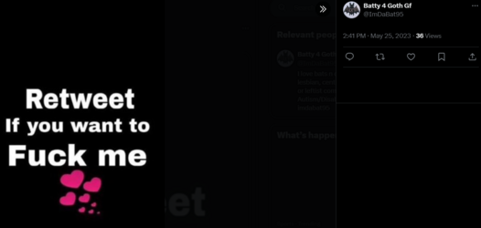 Desperate Tweet 7.PNG
