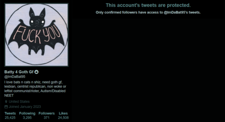 Locked Twitter Profile.png