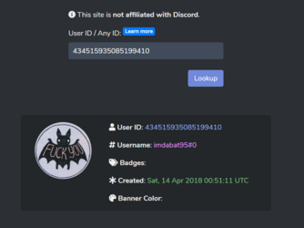 Discord 3.png