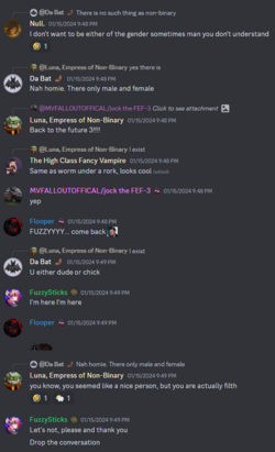 Discord Messages 4.png
