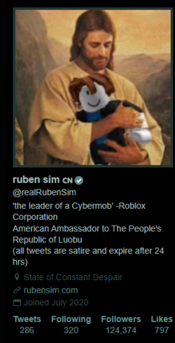 nitter.poast.org_realRubenSim.png
