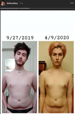 effectator.PNG
