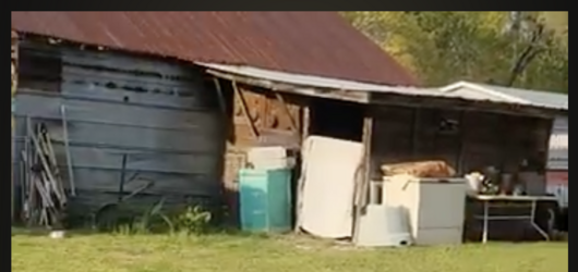 Sarahhome2.png