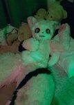 IMG_20181130_232456.jpg
