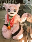 IMG_20181130_232420.jpg