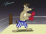 boxer.png