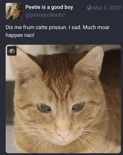 IMG_0802.jpeg