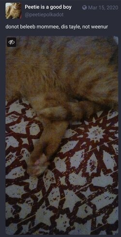 IMG_0800.jpeg