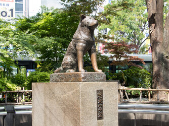 hachiko-statue.jpg