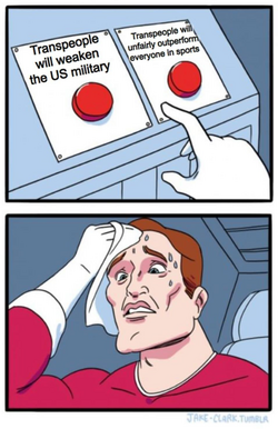 1717561526634.png