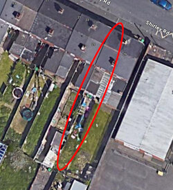 cog_backyard2.jpg cog_backyard2.jpg