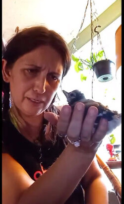 found another bird 2.jpg