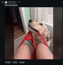 whitewomendogs.JPG