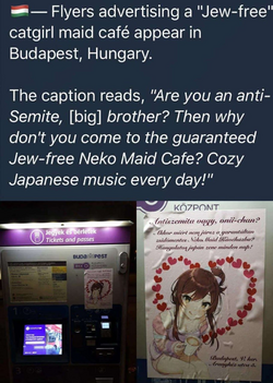 unknown-347.png