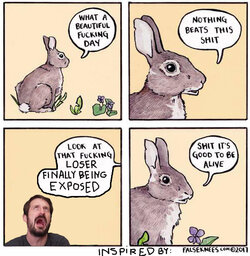 gratitude.jpg