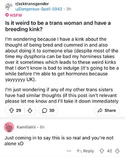 Tranny L post 13.jpg