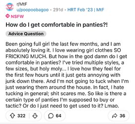 Tranny L post 14.jpg