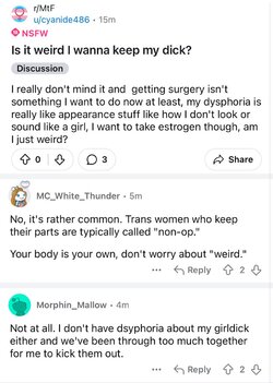 Tranny L post 22.jpg