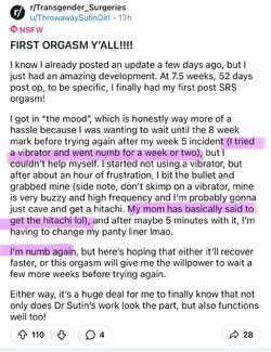 Tranny L post 23.jpg