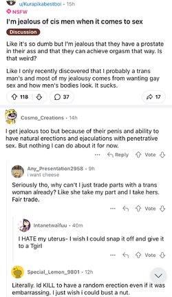 Tranny L post 25.jpg