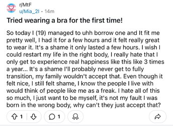 Tranny L post 49.jpg