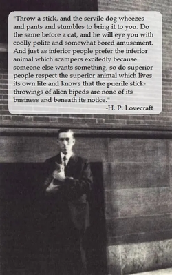 1717709007384.png