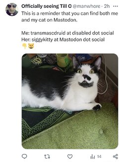 staph (1).jpg