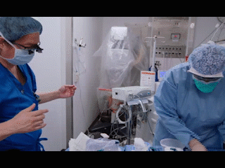 born-2-b.gif