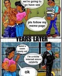 niche internet microcelebrity.jpg