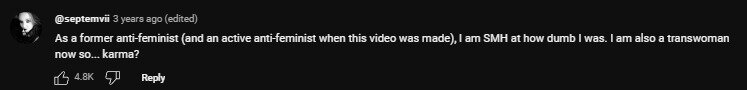 antifeminist3.jpg