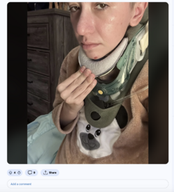 di-003.png