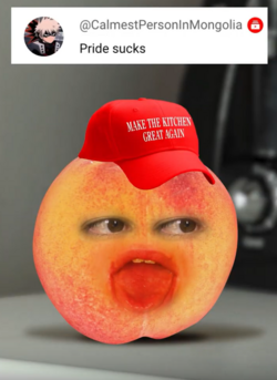 1717731859045.png