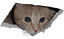 generic.png