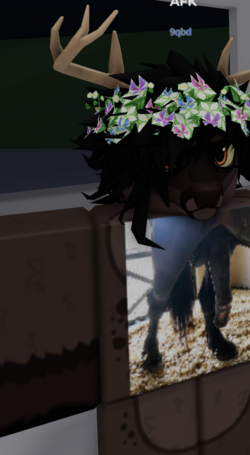 Screenshot 2024-06-07 003536.png