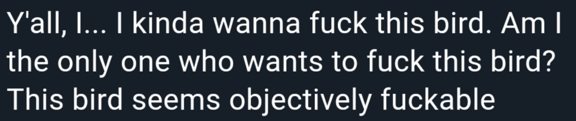 1717754132328.png