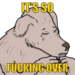 its_so_over.png