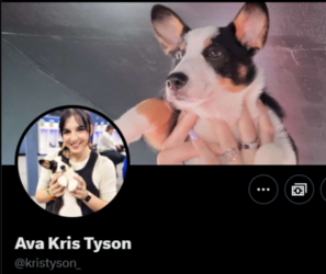 FireShot Capture 2067 - Ava Kris Tyson (@kristyson_) _ X - twitter.com.png